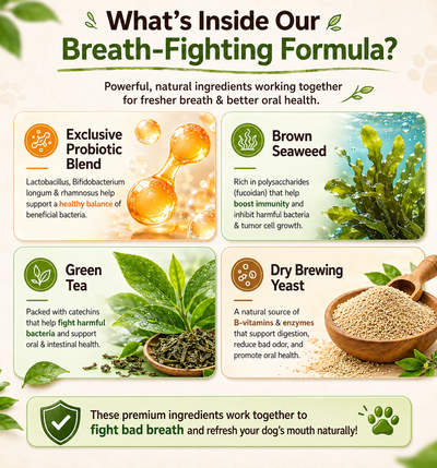 Pet Dental Powder - Freshens Breath, Protects Gums And Strengthens Teeth.