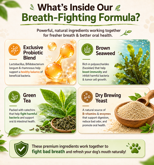 Pet Dental Powder - Freshens Breath, Protects Gums And Strengthens Teeth.